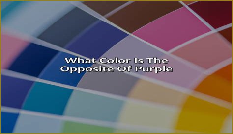 What is the opposite of internecine?